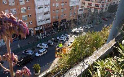 Limpieza de jardines en Sevilla