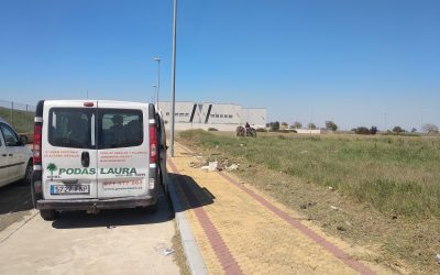 Desbroce y limpieza de terrenos en Sevilla