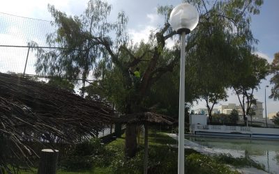 Poda en club privado