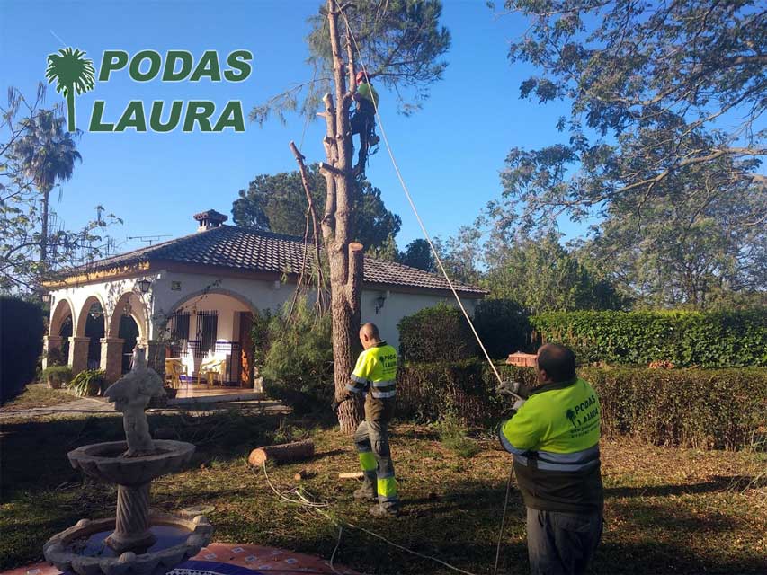 Servicios de Jardinería I