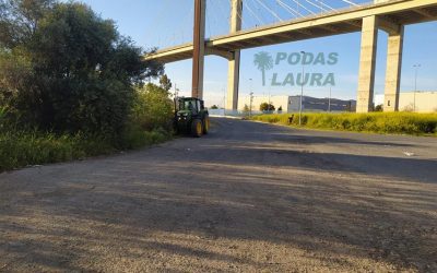 Desbroce y limpieza de terrenos