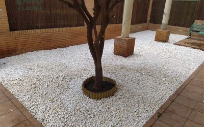 Montaje de jardín en Heliópolis