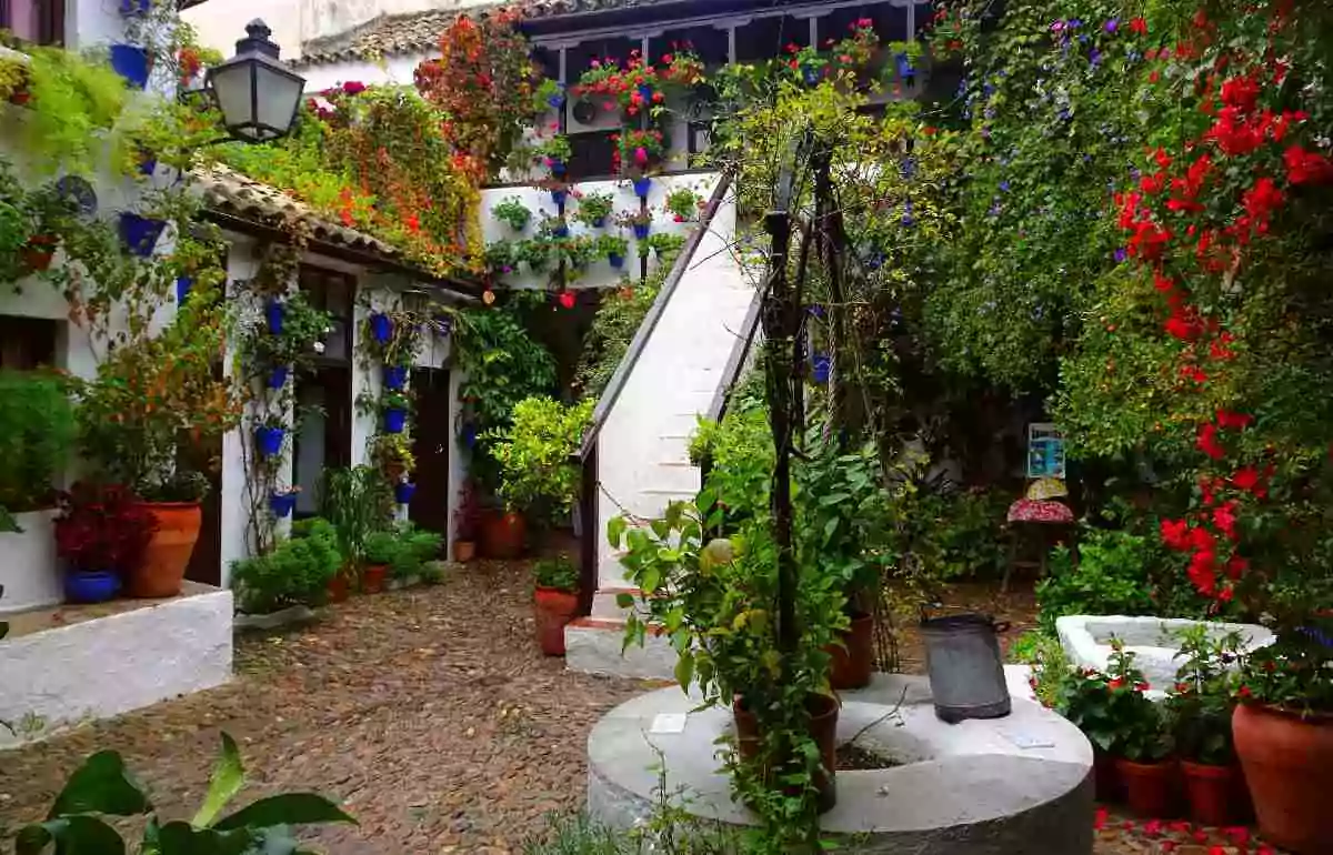 Jardínes verticales